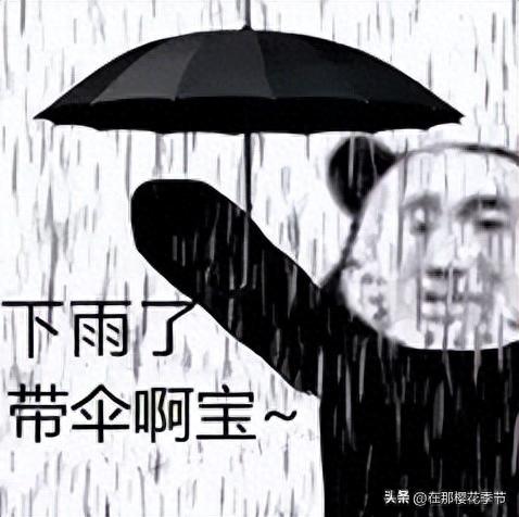 雨天行车请注意！五云一摩托车这样转弯，撞上小轿车