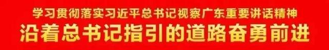 飙车？电动车逆行？抓！佛山交警重点整治这些交通违法！