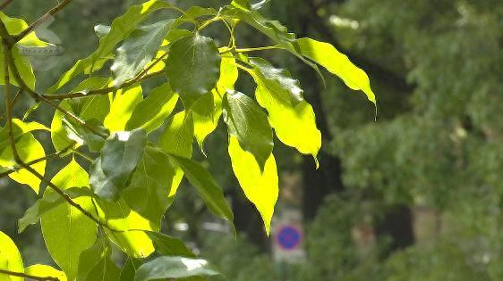 “太热了！”昆明气温直逼30℃！云南这地气温位居全国第一