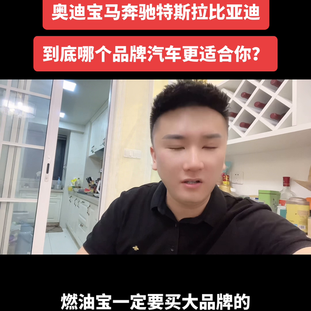 奥迪宝马奔驰特斯拉比亚迪，到底哪个品牌的汽车更适合你？...