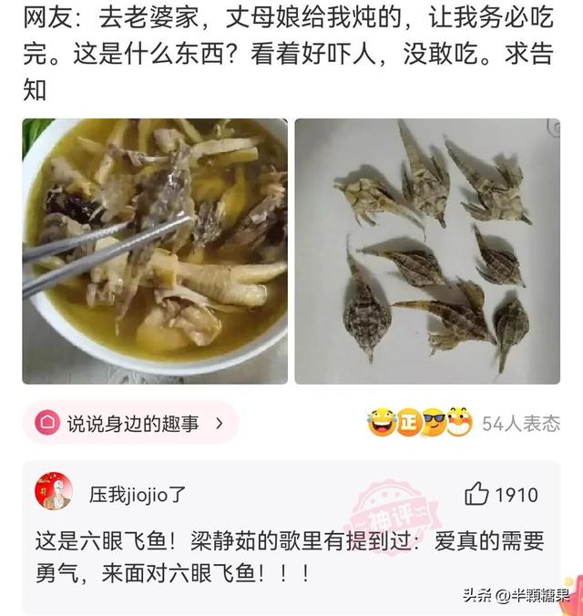 爆笑神回复：新能源汽车都长这个样子的吗？