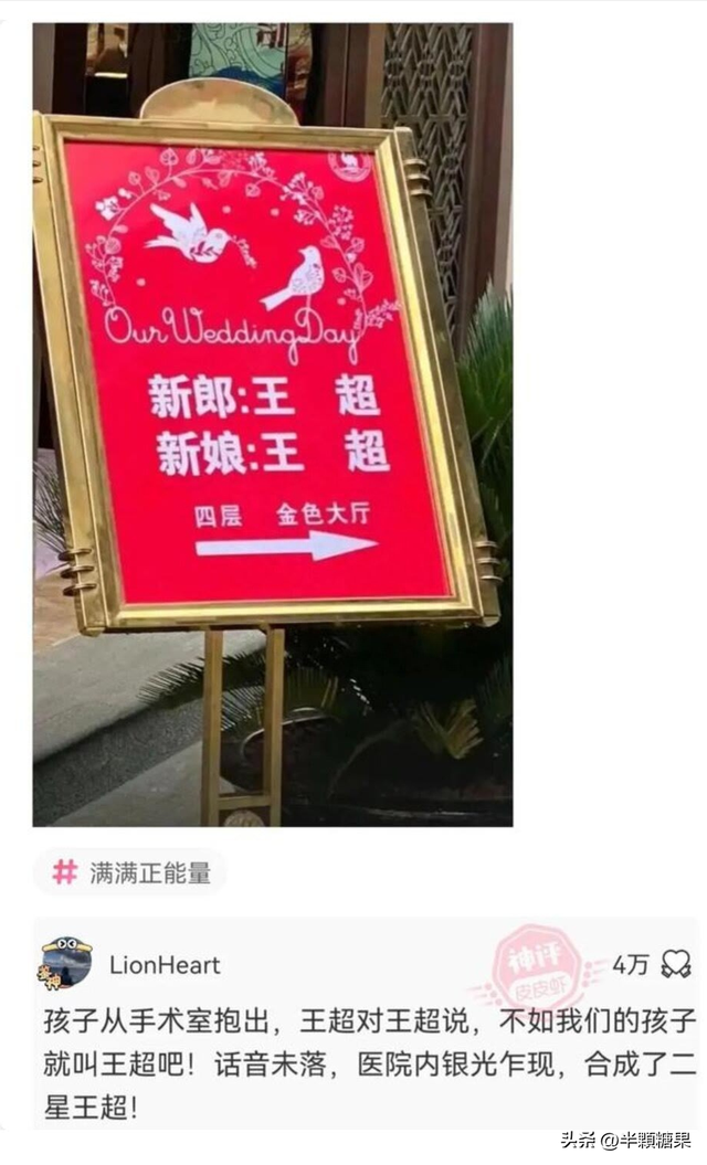 爆笑神回复：新能源汽车都长这个样子的吗？