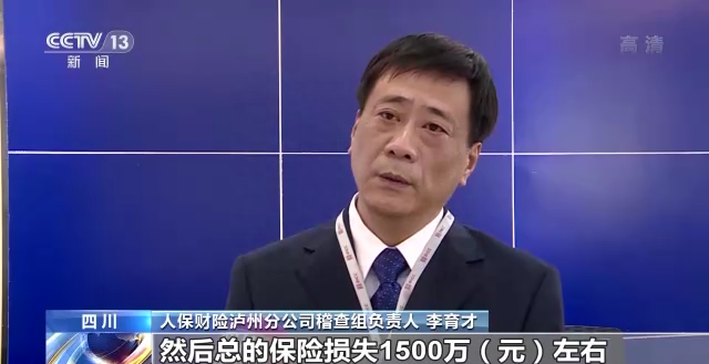 “我专业到让你怀疑人生”揭秘1500万“理赔”背后的交通事故骗局