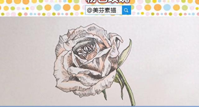 超漂亮有质感的玫瑰花手绘画！彩铅素描画法介绍