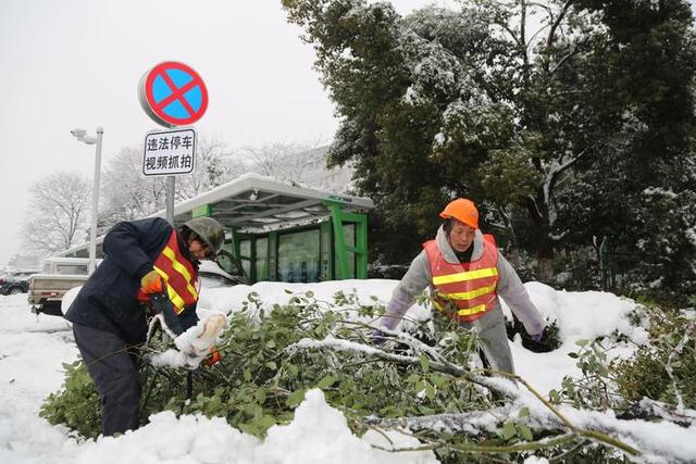 安吉全民动员 全县干群“无休战雪”保民生