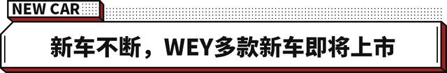 14.58万起！硬怼丰田本田 1100km超长续航 WEY玛奇朵正式上市