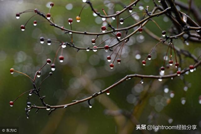 8招教你如何拍摄雨景，表现雨景特点