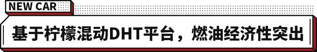 14.58万起！硬怼丰田本田 1100km超长续航 WEY玛奇朵正式上市