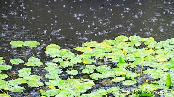 8招教你如何拍摄雨景，表现雨景特点