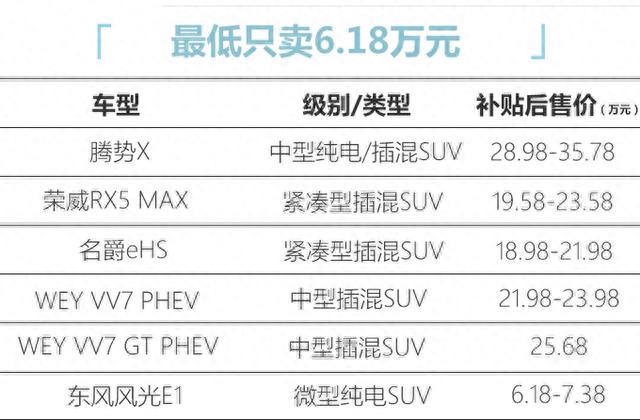 这6款新能源车开售，最便宜8万就能买，其中一辆国产车还带奔驰标