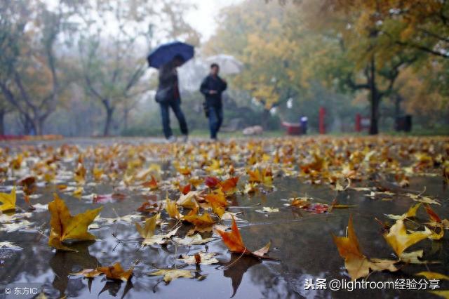 8招教你如何拍摄雨景，表现雨景特点