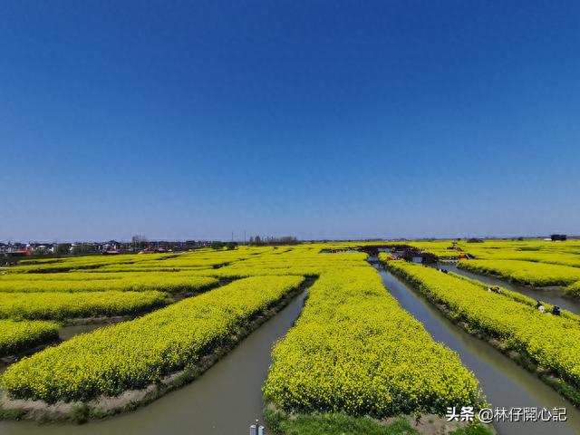 和续航焦虑说不！假期往返上海泰兴，新能源车自驾游幸福满满