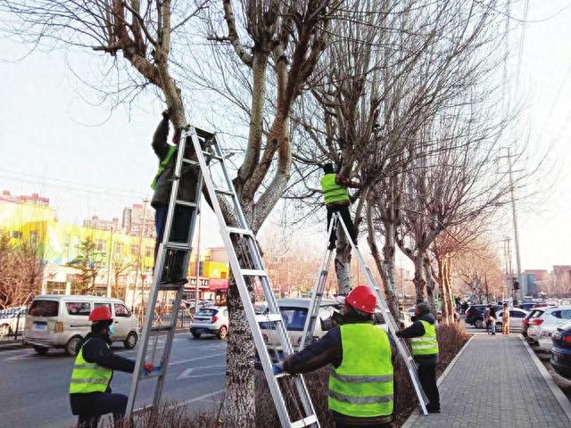 长春国际汽车城建设大幕拉开 全年启动150余个基建项目