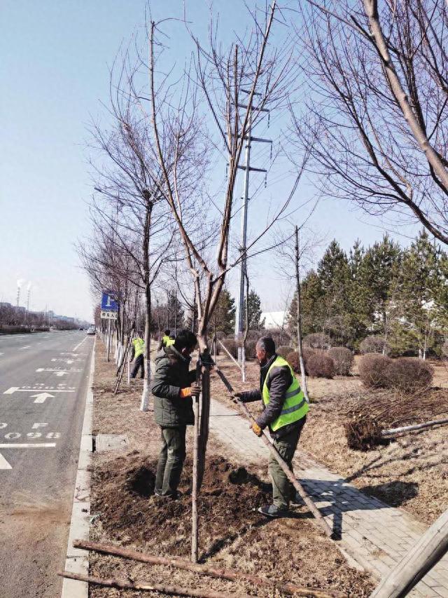 长春国际汽车城建设大幕拉开 全年启动150余个基建项目