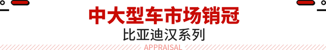 随便买都不后悔！各级别轿车销冠汇总 最低3.28万起！