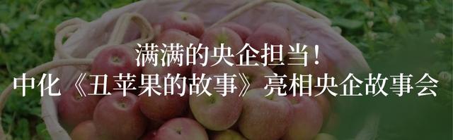 没有这种特殊材料，新能源汽车就跑不动了