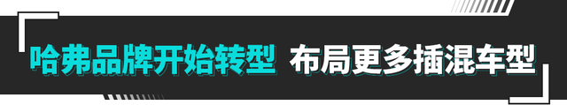 哈弗硬派插混SUV？252马力+续航破千 14万以内交个朋友！