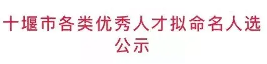 「十堰」108人！十堰各类优秀人才公示