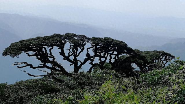 柳州市周边的一些景点