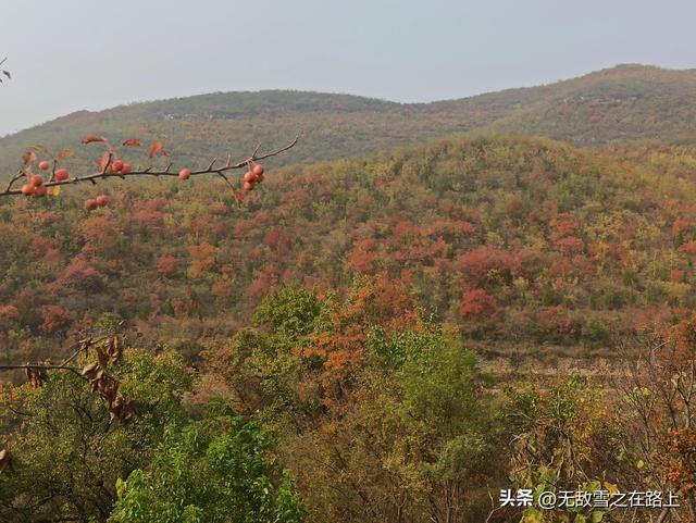 我想玩模拟驾驶：“遨游中国”