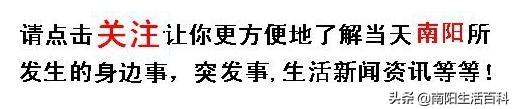 南阳内乡城乡公交新增几条线路！附：最新价格、路线表！收藏转发