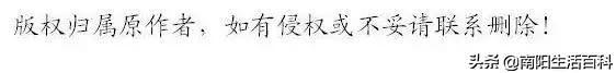 南阳内乡城乡公交新增几条线路！附：最新价格、路线表！收藏转发