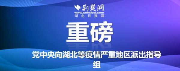 最新！湖北17个市州全部停运公共交通