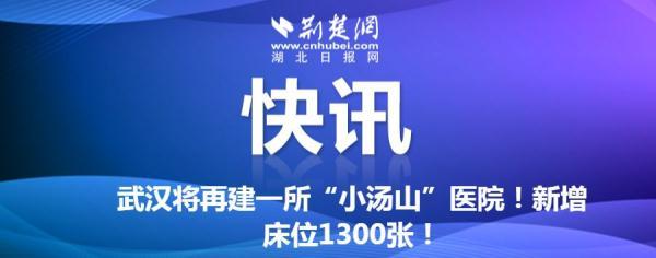 最新！湖北17个市州全部停运公共交通