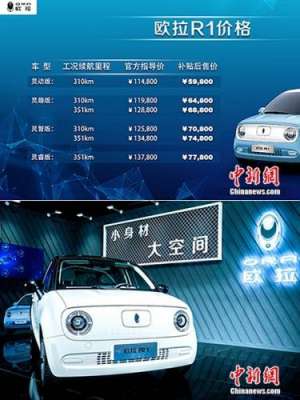 苏宁易购汽车价格(“新一代电动小车”欧拉R1上市 售价598万——778万元)