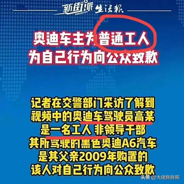 哈尔滨奥迪男，怎么可能是谭副市长？我相信他只是撞脸的普通工人