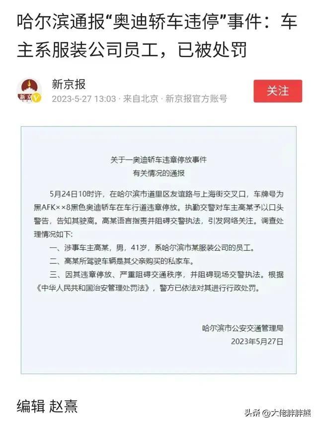 哈尔滨奥迪男，怎么可能是谭副市长？我相信他只是撞脸的普通工人