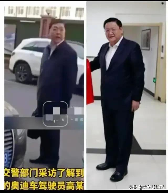 哈尔滨奥迪男，怎么可能是谭副市长？我相信他只是撞脸的普通工人