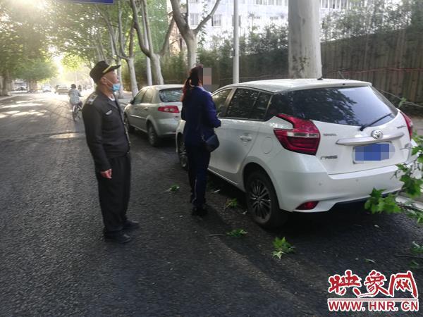 轿车停路边被断树枝砸中 专业人士：死树枝可索赔，活树枝有难度