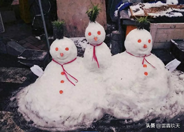 成都好大的雪 汽车上都是雪人