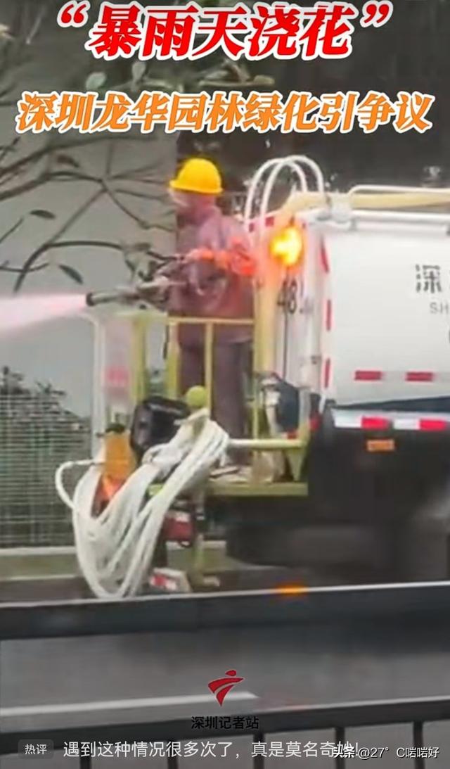 深圳龙华“暴雨天浇花”争议！网友笑死评论区：下雨天就不上班吗