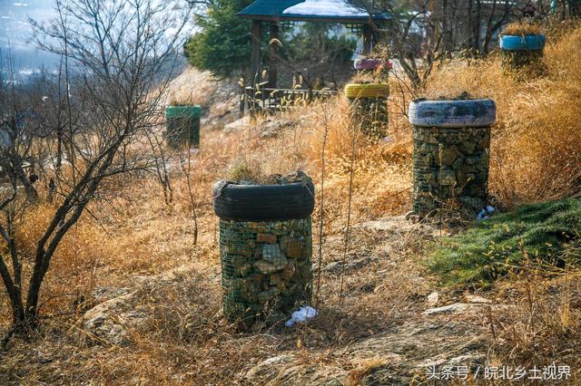 废旧轮胎经过彩绘涂鸦后变废为宝，你是不是模仿彩绘涂鸦一件