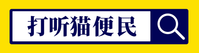 无为交通换新颜！「安徽打听猫」