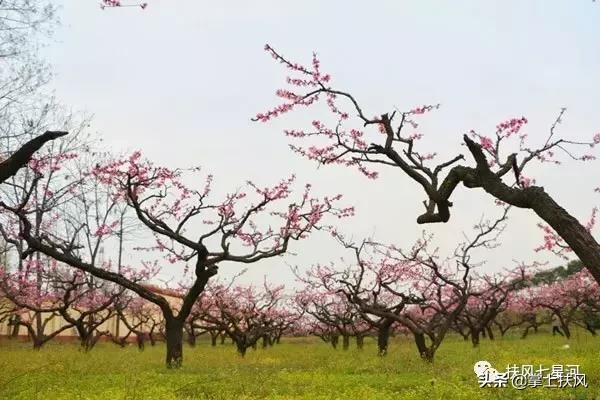 西安解放门汽车站至扶风七星河的旅游直通车4月28日开通啦