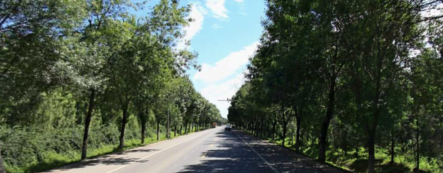 昌平又一波道路大修养护