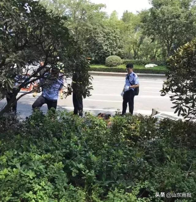 蹊跷！一小轿车突然起火撞向花坛，一死一伤！竟和乘客带的东西有关？