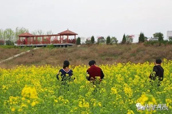 西安解放门汽车站至扶风七星河的旅游直通车4月28日开通啦