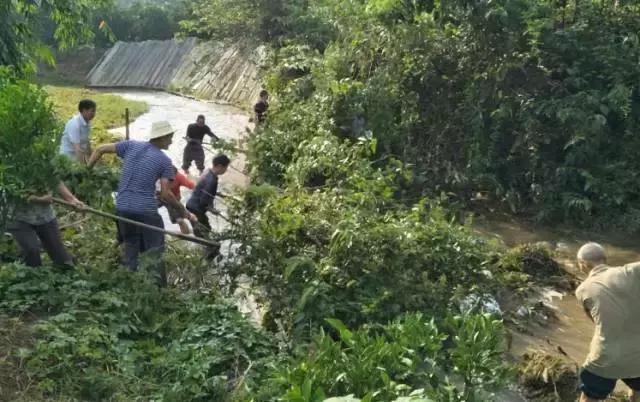 动真格！彭山这些地方统统“挨整”了！