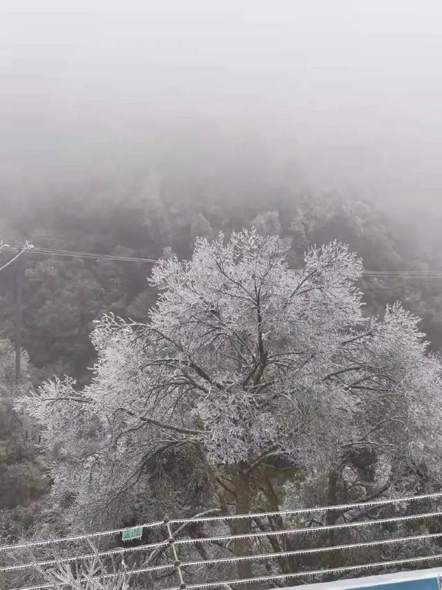 福建这些道路封闭，景区通知