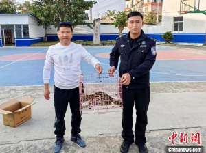 云南德宏：警民携手救助国家二级保护动物豹猫