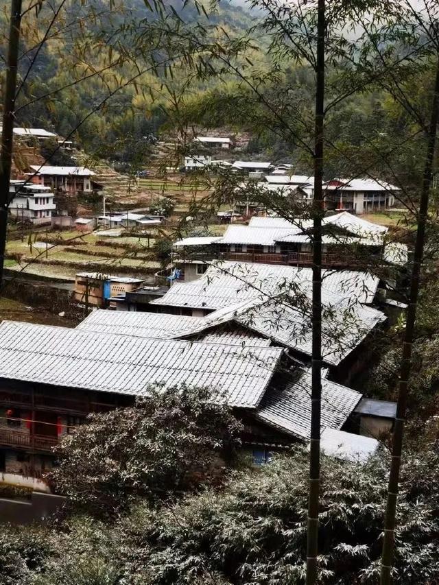 福建这些道路封闭，景区通知