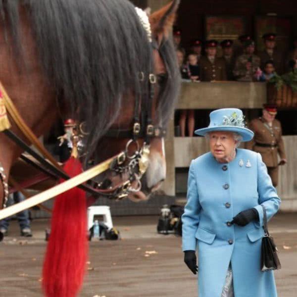 隔离10周，英国女王骑马亮相！爱马的她曾赢得超过880万美元的奖金