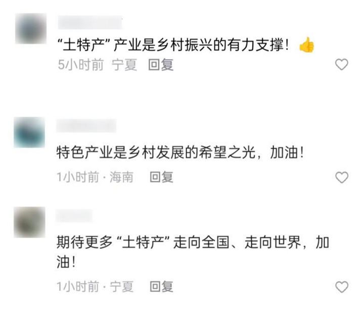 为了这条花灯长廊，网友们纷纷作起了诗！