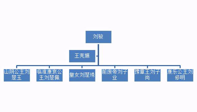 文穆皇后王宪嫄：真正的琅琊王氏女，比上阳赋女主阿妩还尊贵