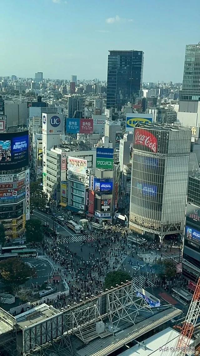 东京热！东京七月中暑死亡123人，杭州热！地表超60℃热出新高度