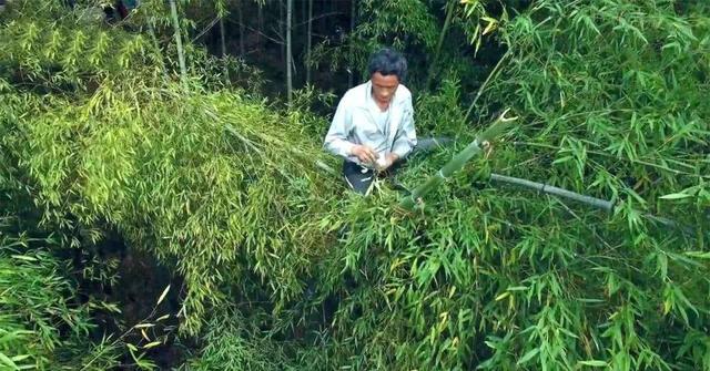 最后的“竹海飞人”：70岁浙江老人踏竹飞行，10米高空如履平地